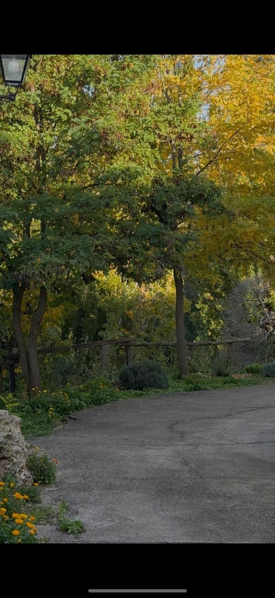 Casa Carabias Konuk evi Dış mekan fotoğraf